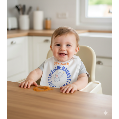 bavoir rigolo bebe petit farceur