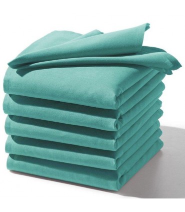serviette de table brodée nouvel an verte 