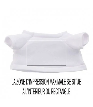 Photo sur porte clé peluche canard