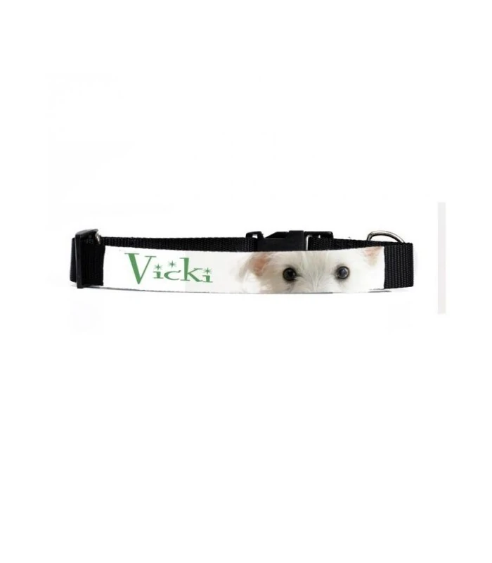 Collier chien et gros chat personnalisé