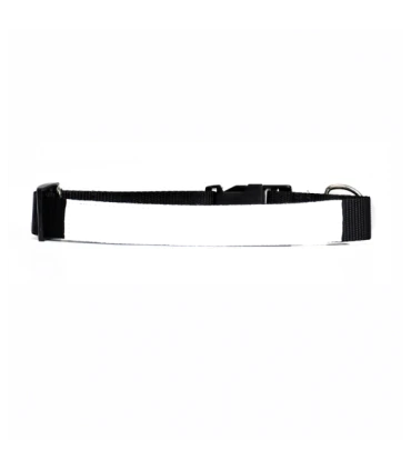 Collier chien et chat