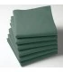 Serviette de table brodée verte