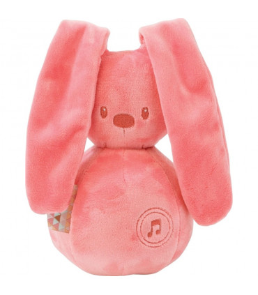lapin orange musical