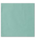 serviette de table brodée vert clair