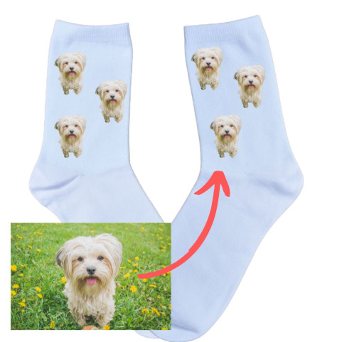 chaussette personnalisée chien