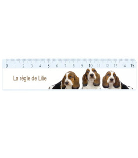 règle personnalisée