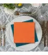 Serviette table brodée