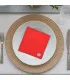 Serviette table brodée