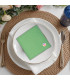 broderie sur serviette de table vert clair