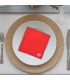 Broderie sur serviette de table