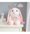 Lapin rose grandes oreilles personnalisé