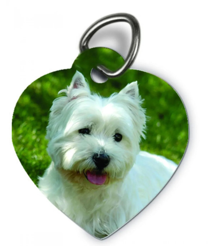 Médaille Chien Chat Cœur Personnalisée avec Photo et Prénom